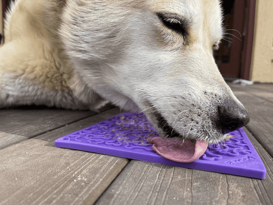 BellyBalance Bone Licker