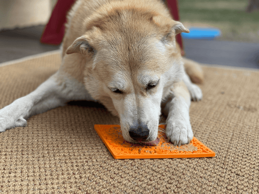 ZenBite Therapy Pad