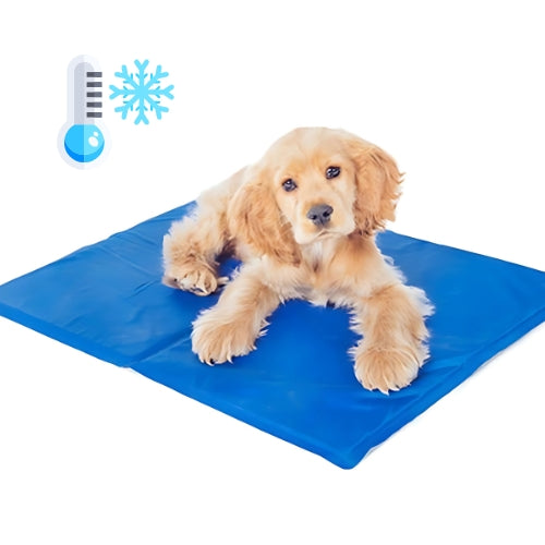 ChillPaws Rejuvenation Mat